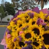 ramo de 30 girasoles con 12 rosas acompañadas de estatice