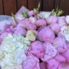 Ramo de 30 peonias con hortensias blancas y lisianthus rosa