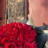 ramo_de_100_rosas_rojas ramo de 100 rosas rojas clasico