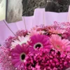 ramo de 10 gerberas con nubecita en colores rosas