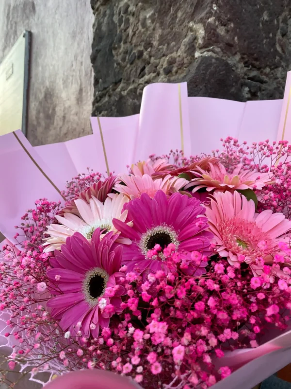 ramo de 10 gerberas con nubecita en colores rosas