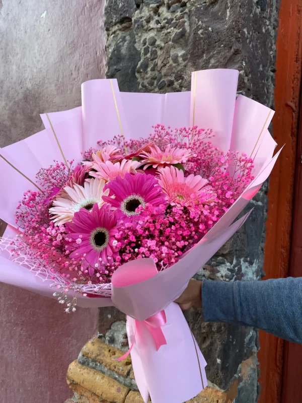 ramo de 10 gerberas con nubecita en colores rosas