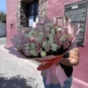Ramo de 100 rosas blancas con rosa